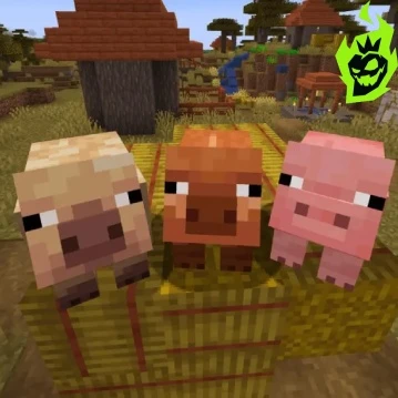 Pig Overhaul Pig Overhaul