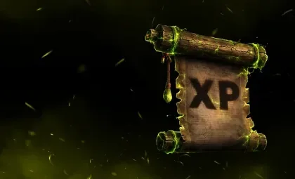 Experience