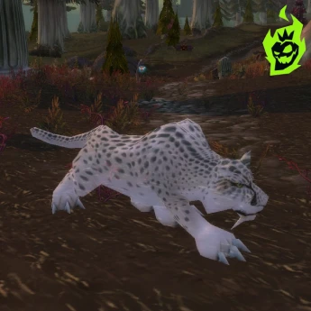 Top DPS Pet Families Top DPS Pet Families