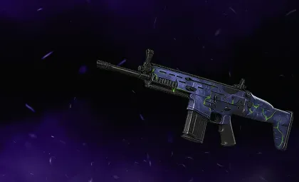 Weapon Accessories Service