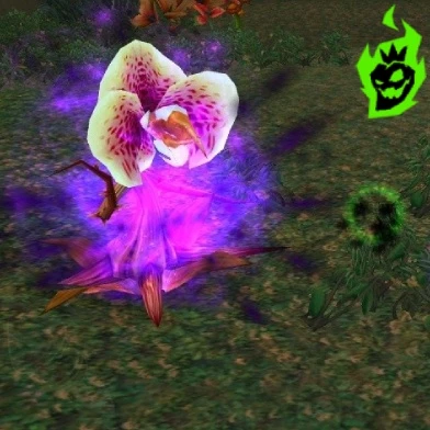 Strategies for Collecting Wild Vines Strategies for Collecting Wild Vines